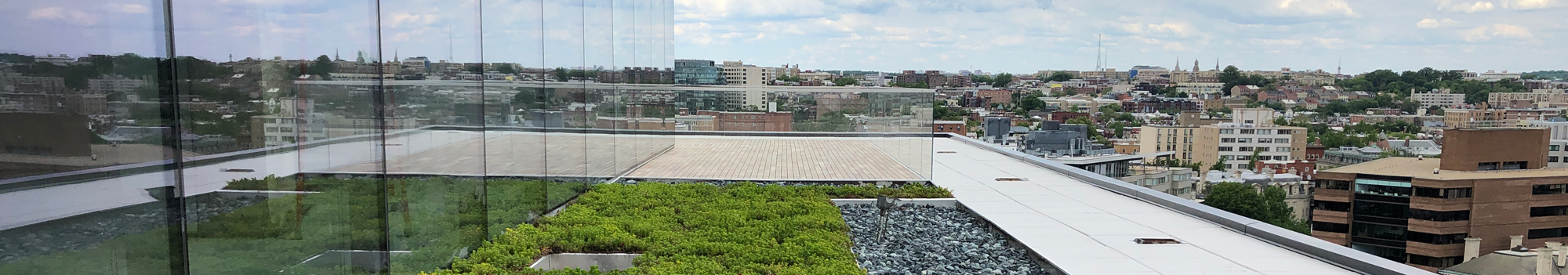 Green roof at 1333 New Hampshire NW Washington, DC
