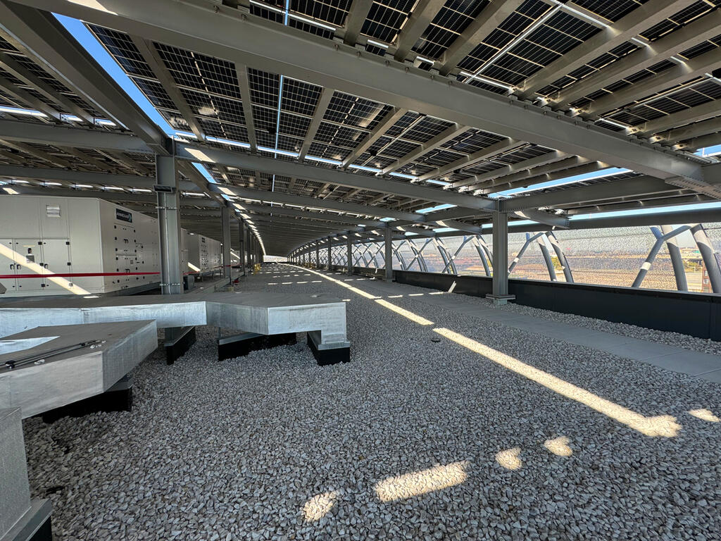 vegetated roof, green roof, amenity deck