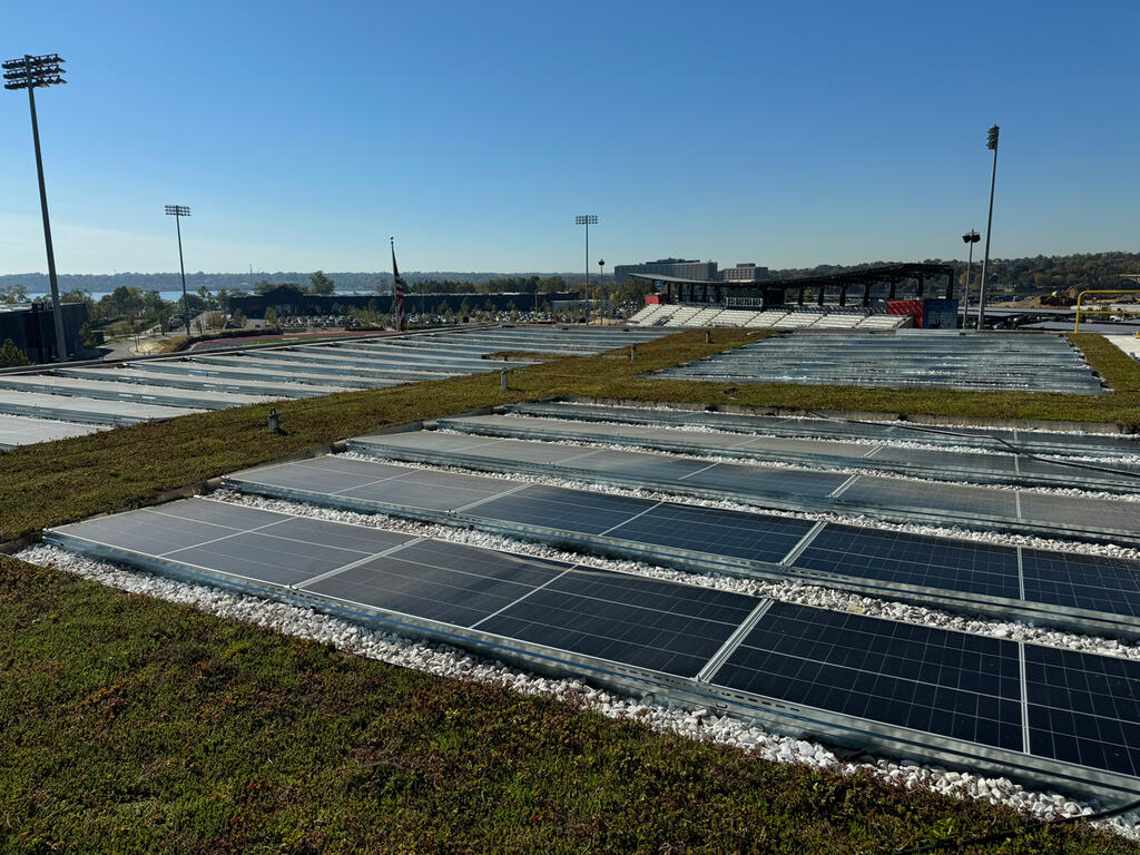 vegetated roof, green roof, amenity deck