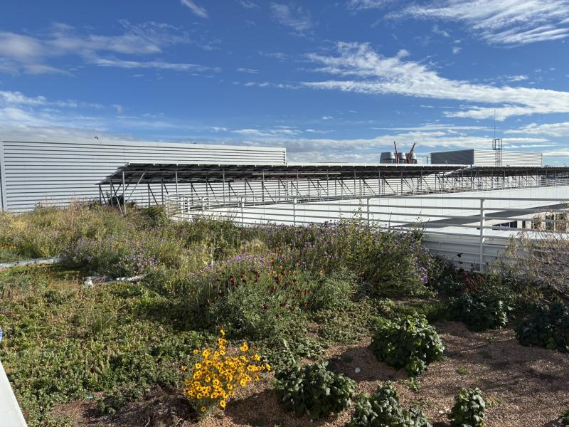 CSU Spur Campus