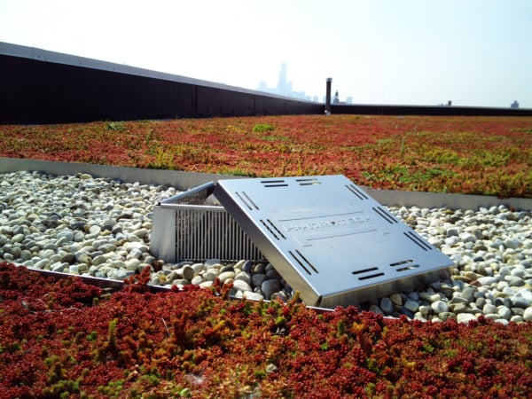 image of vegetated roof