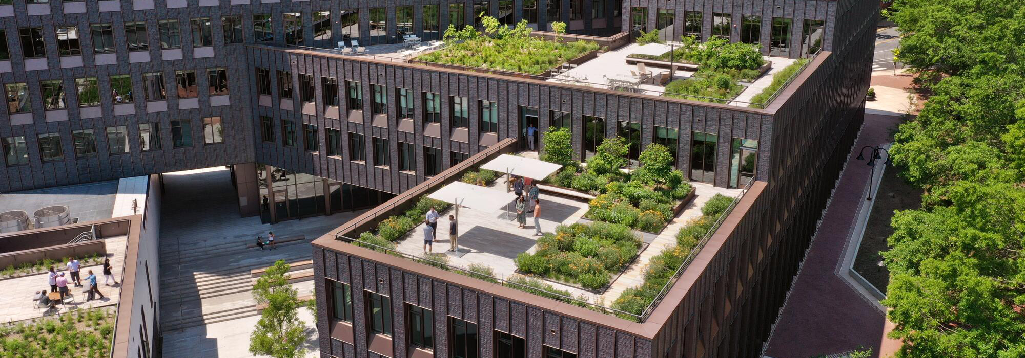 hydrotech green roof