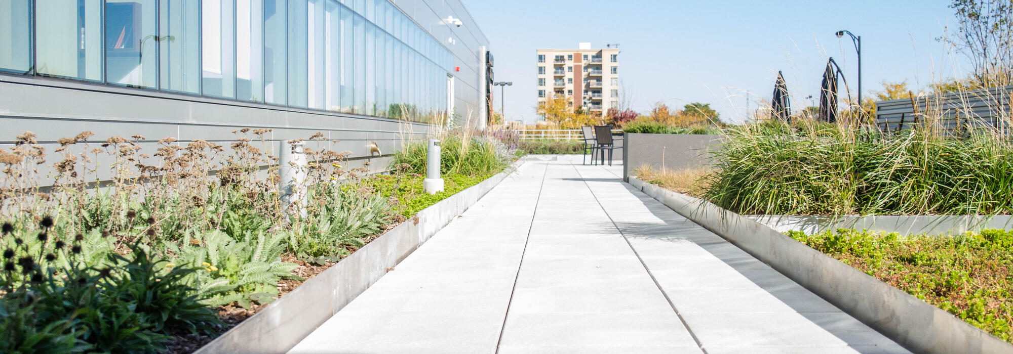 green roof