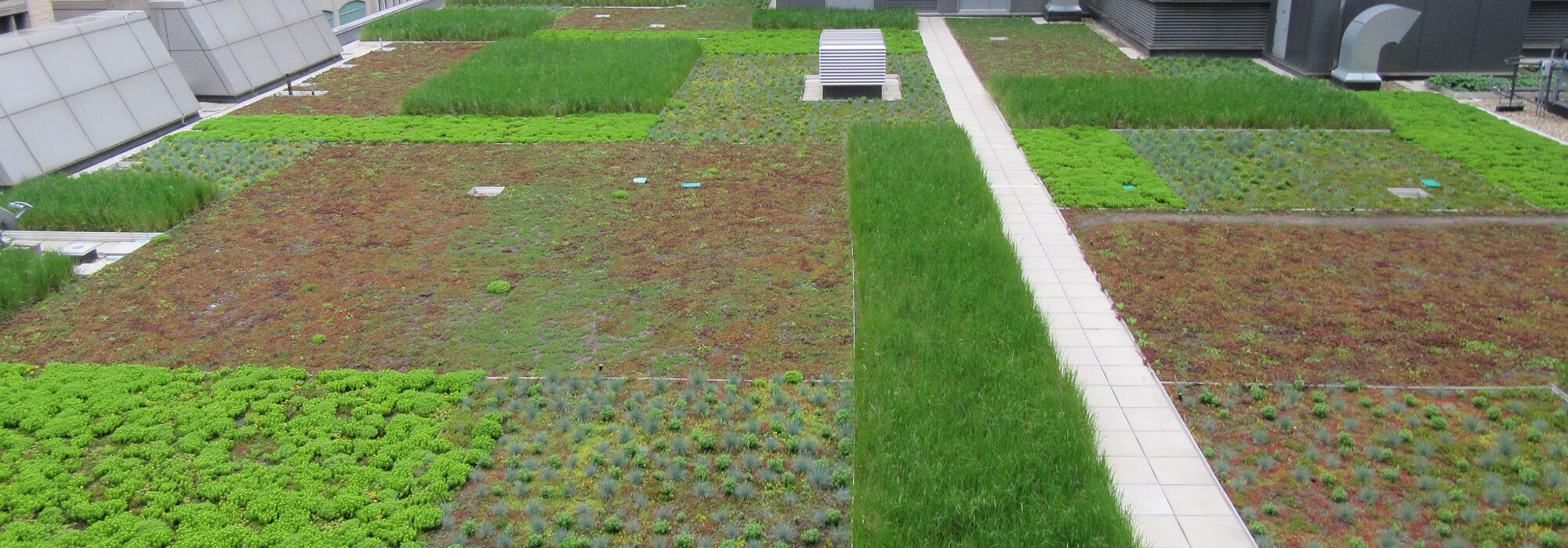 garden roof