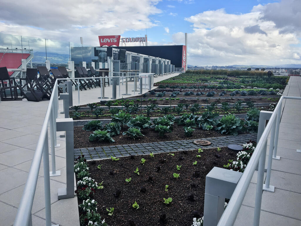 San Francisco 49ers' New Eco-Friendly Stadium