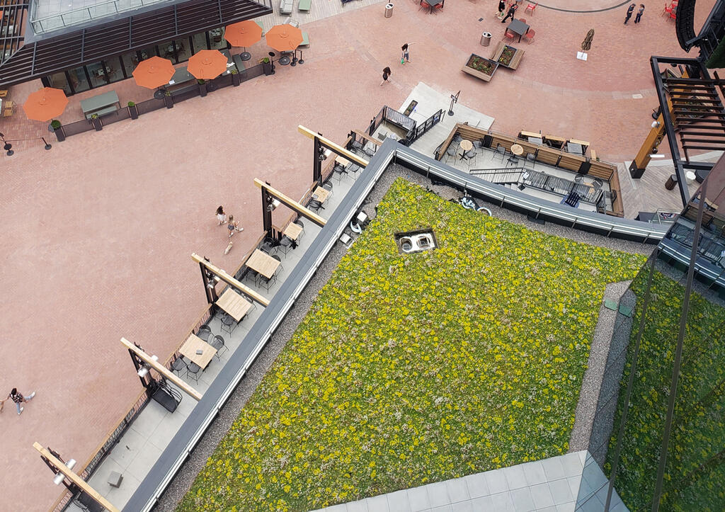 Green Roof at baseball stadium