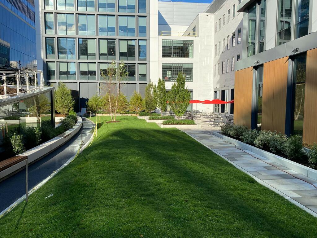 730-750 Main Street - MIT Lawn green roof