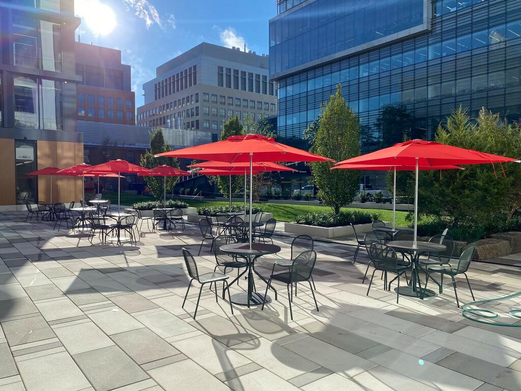 730-750 Main Street - MIT Lawn green roof and amenity deck