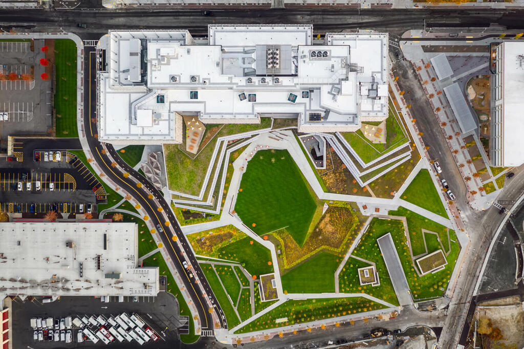 green roof amenity space on education building