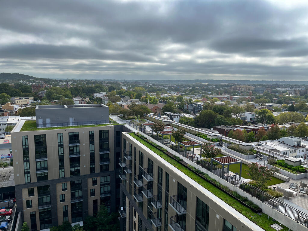 vegetated roof, green roof, amenity deck