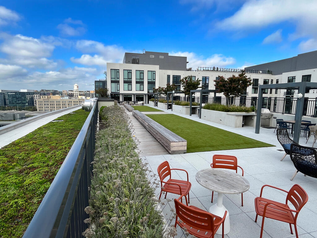 vegetated roof, green roof, amenity deck