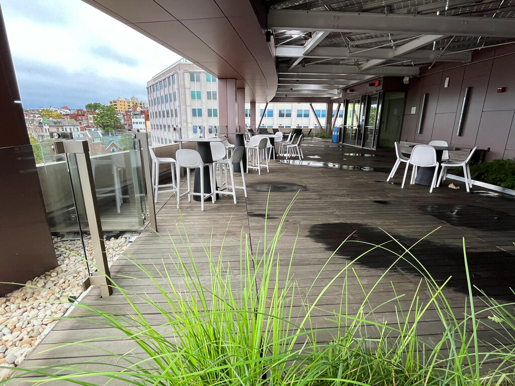 vegetated roof, green roof, amenity deck