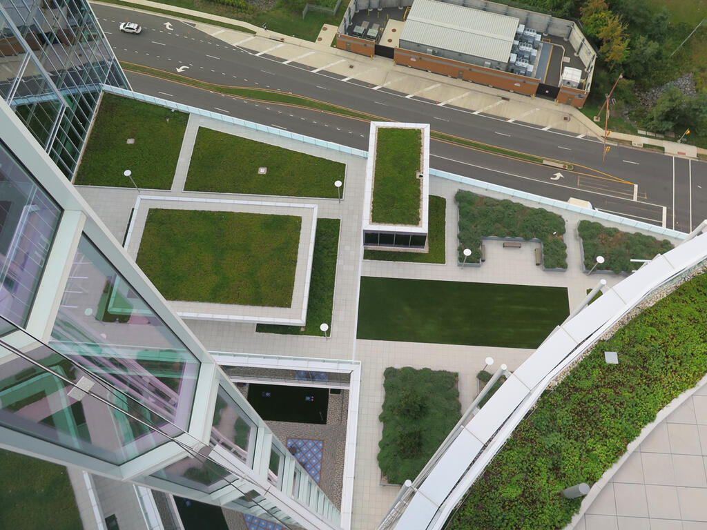 vegetated roof, green roof, amenity deck