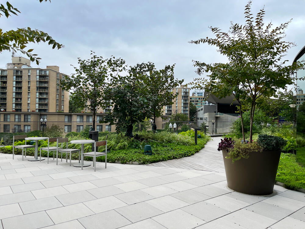 vegetated roof, green roof, amenity deck