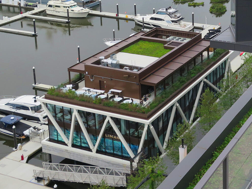 vegetated roof, green roof, amenity deck