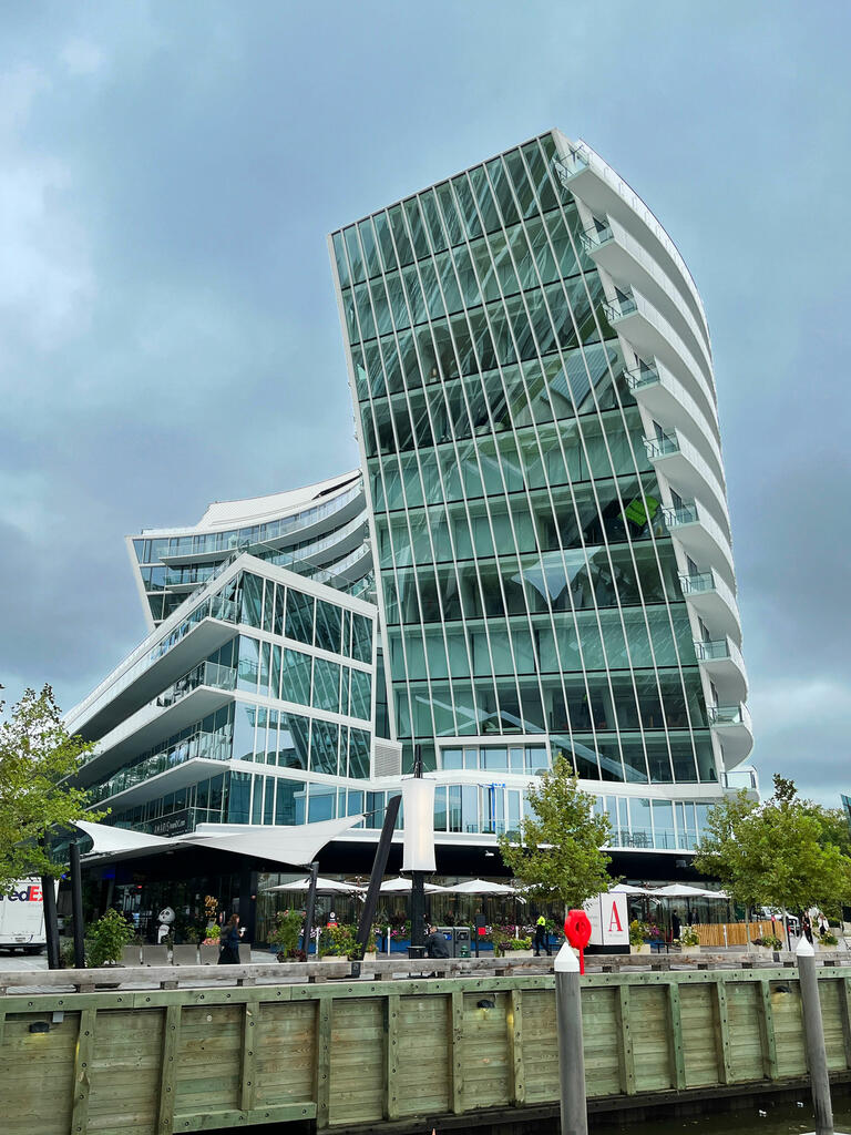 vegetated roof, green roof, amenity deck