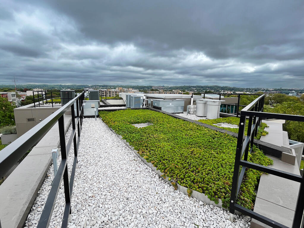 vegetated roof, green roof, amenity deck