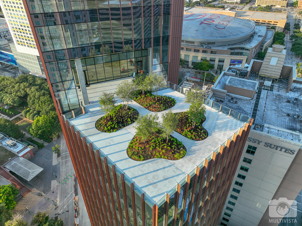 vegetated roof, green roof, amenity deck