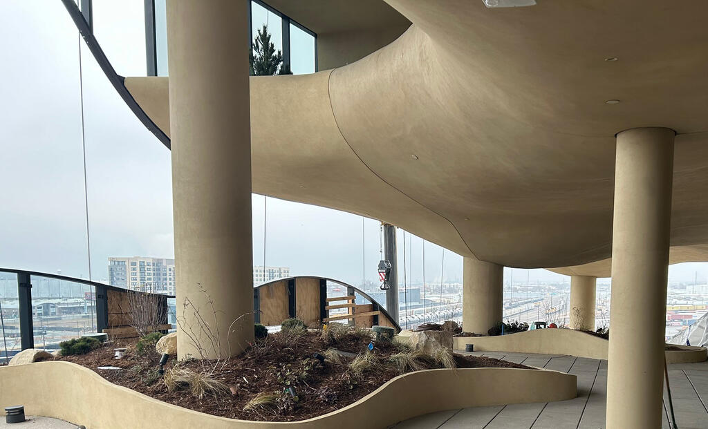 vegetated roof, green roof, amenity deck