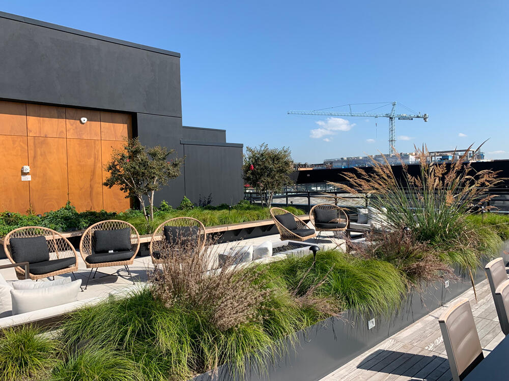 vegetated roof, green roof, amenity deck