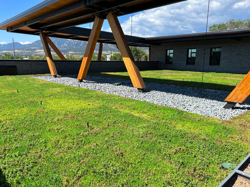 vegetated roof, green roof, amenity deck