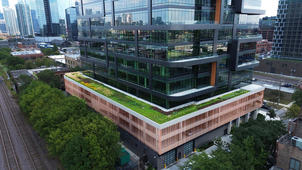 vegetated roof, green roof, amenity deck