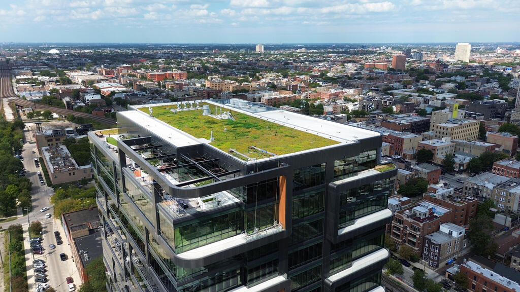 vegetated roof, green roof, amenity deck