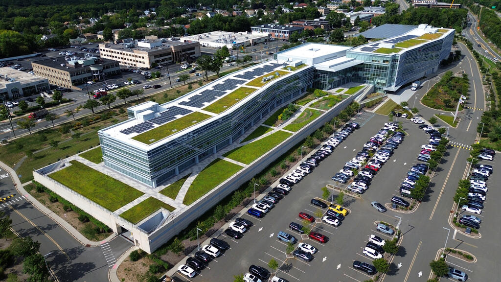 vegetated roof, green roof, amenity deck