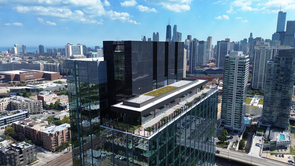 vegetated roof, green roof, amenity deck