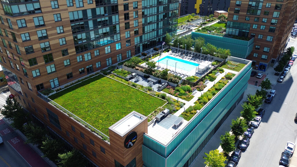 vegetated roof, green roof, amenity deck