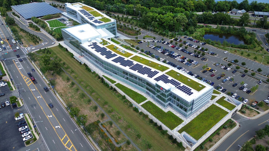 vegetated roof, green roof, amenity deck