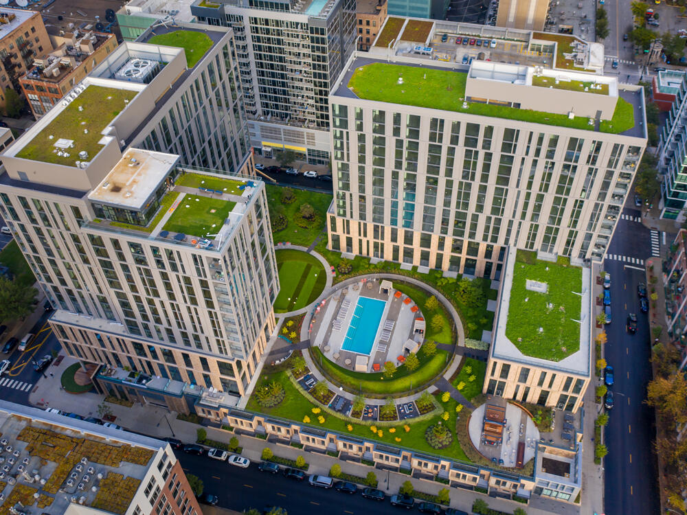 vegetated roof, green roof, amenity deck