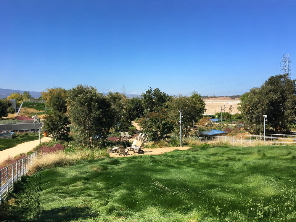 vegetated roof, green roof, amenity deck