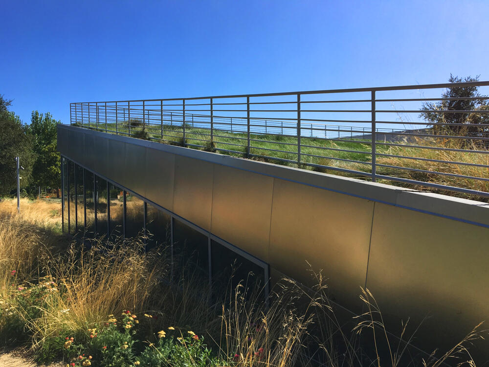 vegetated roof, green roof, amenity deck