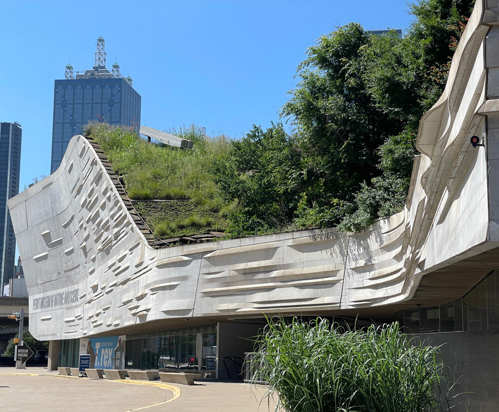 vegetated roof, green roof, amenity deck