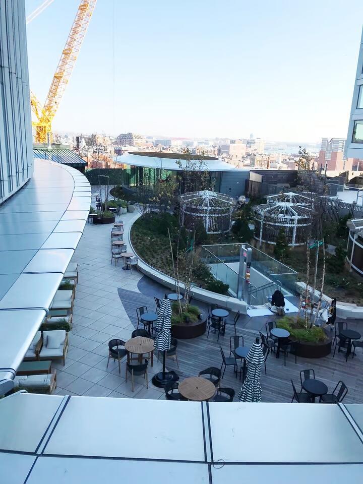 vegetated roof, green roof, amenity deck