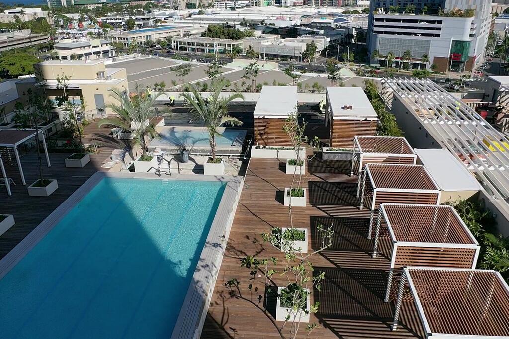 vegetated roof, green roof, amenity deck