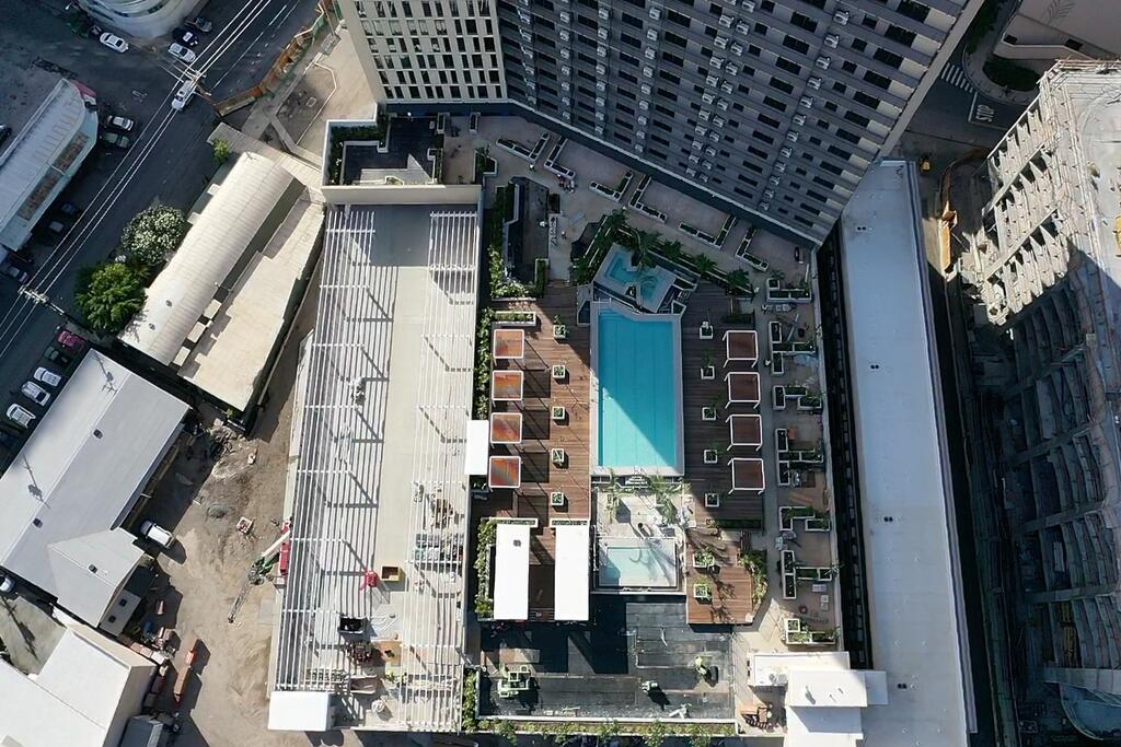 vegetated roof, green roof, amenity deck