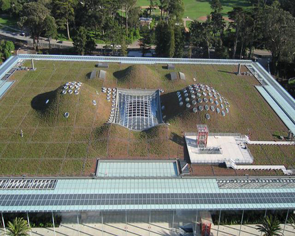 California Academy of Sciences