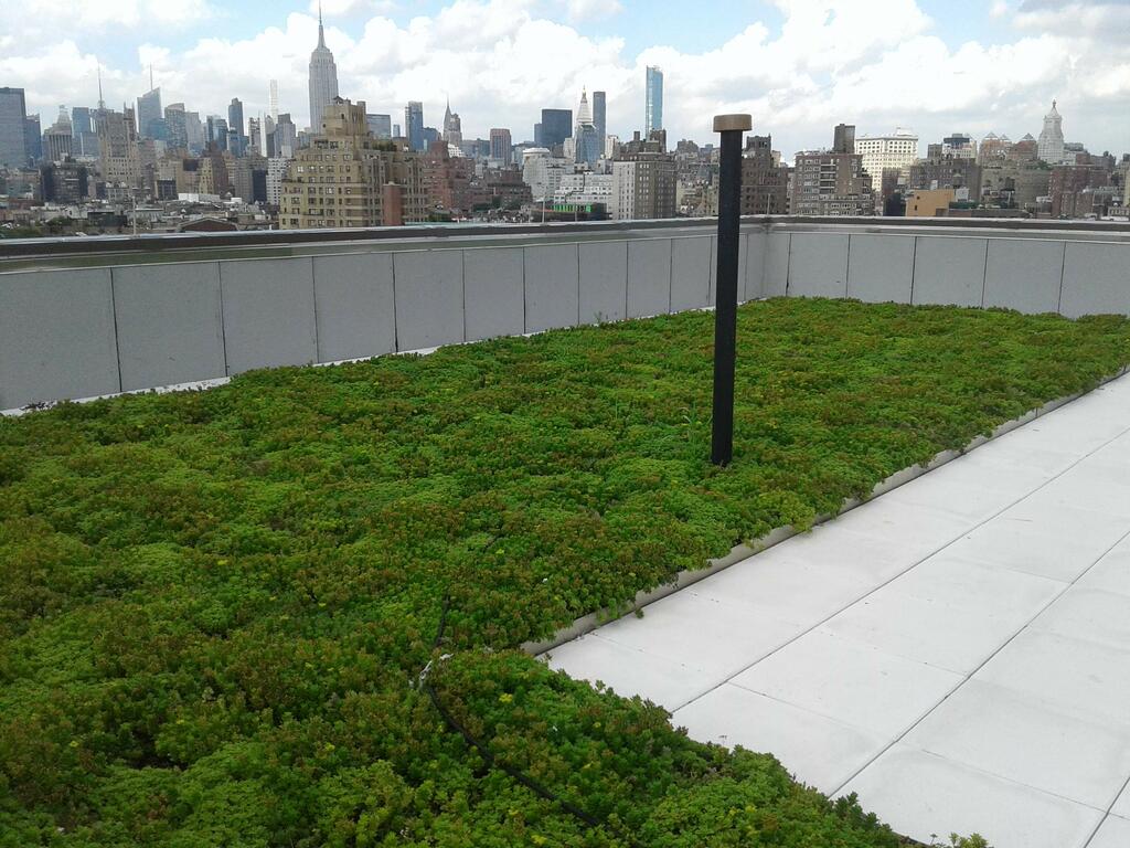 garden roof