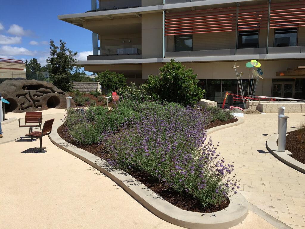 Lucile Packard Children's Hospital - Discovery Garden