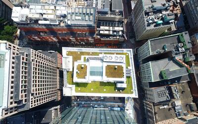 Green roof restoration atop the Millennium Tower Burnham Building