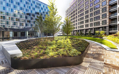 Seaport Parcel K Hotel with wood tile amenity deck and green roof in Boston, Massachusetts 