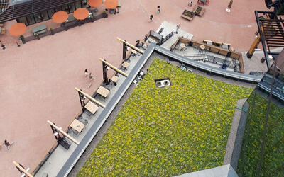 Green Roof at baseball stadium