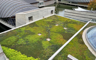 vegetated roof, green roof, amenity deck