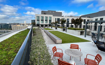 vegetated roof, green roof, amenity deck