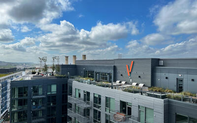 vegetated roof, green roof, amenity deck