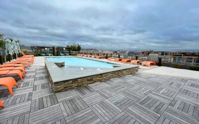 vegetated roof, green roof, amenity deck