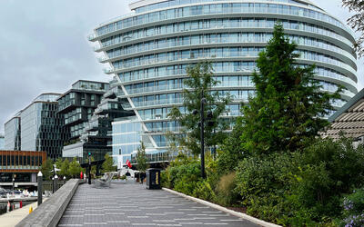 vegetated roof, green roof, amenity deck