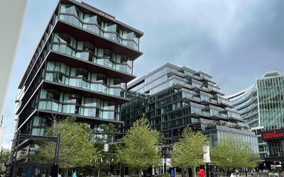 vegetated roof, green roof, amenity deck